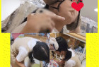 わんぴちゃんのしましまブラとしましまパンツ