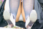 【再販】正面から純白パンチラ